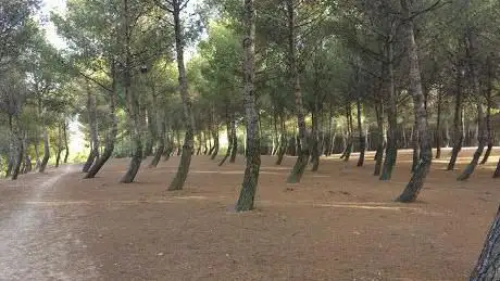 Photo de Valdebernardo Forest Park | South Zone
