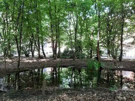 Photo de Oasi Parco delle Noci