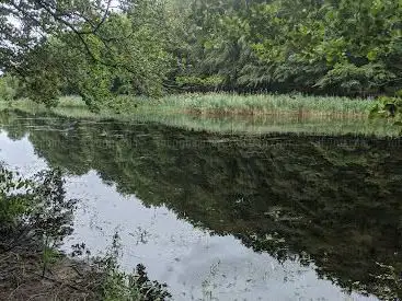 Plan d'eau de Noironte