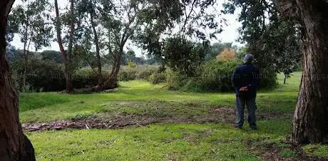 Photo de Parco del Drago