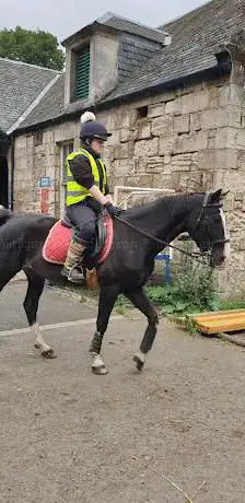Photo de Scholland Equestrian