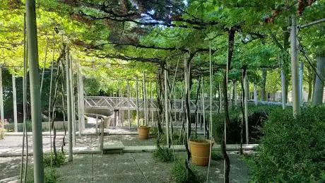 Photo de Jardin de la Treille