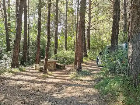 Photo de Zona de Picnic
