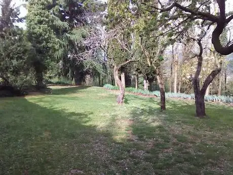 Photo de Parco Pubblico - Monticello