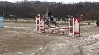 Photo de Ecurie des Pivoines - Centre equestre/Poney Club