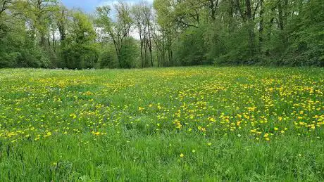 Klimmassief Ozo - Rocher de bretaye