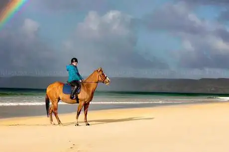 Photo de Traigh Mhor Pony Trekking
