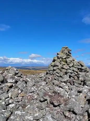Gorllwyn
