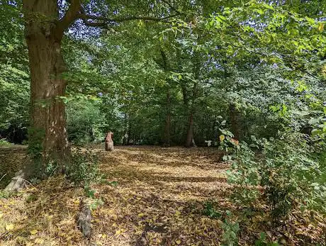 Photo de Spa Wood