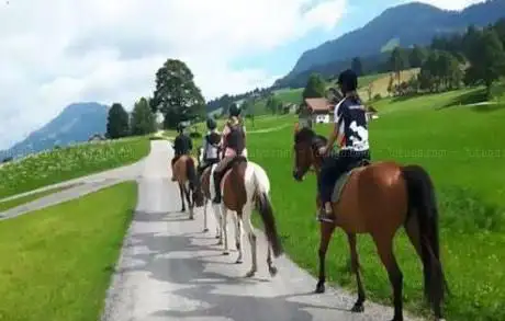 Zucht- und Reitstall Fam. Emmenegger