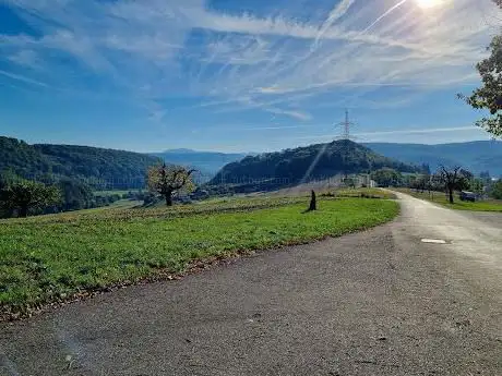 Verzweigung Rosenberg/Bienenberg
