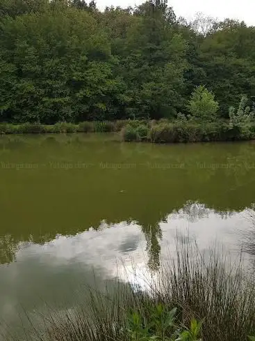 Photo de Les Herbes du Jardin mutin