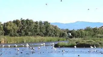 Empuriabrava Natur Park ( Aiguamolls )