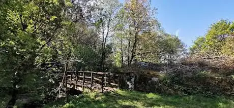 Photo de Camino Natural Carballeda de Avia
