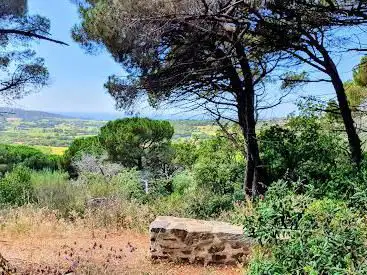 Bank with a view