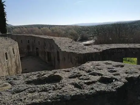 Photo de Campo de Batalla de Lopera