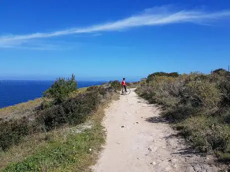 Photo de Pineta di La Farrizza
