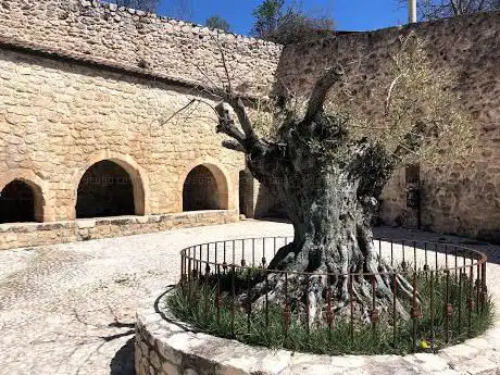 Photo de Fontevecchia