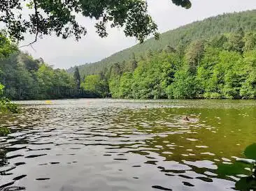 Photo de Seehofweiher / Portzbach