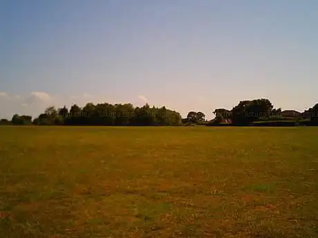 Photo de Arthur Stevens' Fields