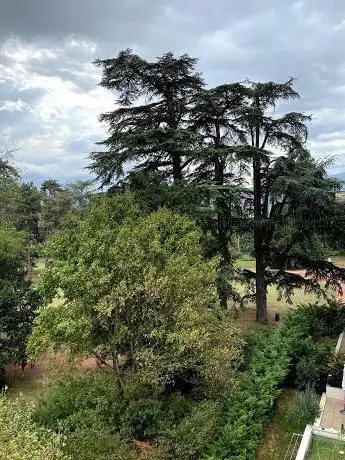 Photo de Echirolles