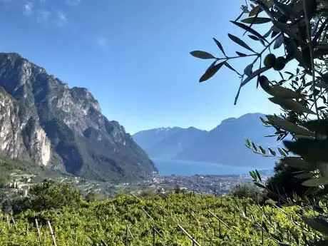 Photo de Passeggiata Panoramica Del Bussè