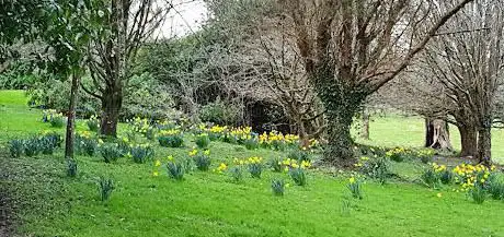 Bovey Community Garden
