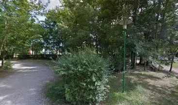 Ultimate-Frog Disc Section