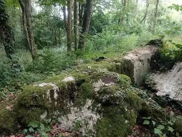 Photo de Chemin et ruines