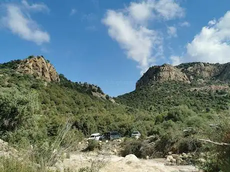 complesso forestale Monte Arcosu - Piscinamanna