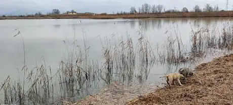 Photo de Lago Majra