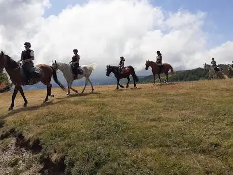 Horse Riding Tours & Trekking