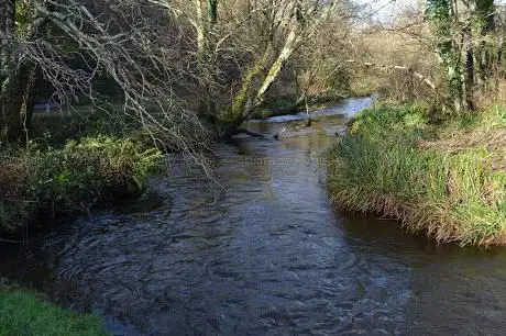 Devichoys Wood Nature Reserve