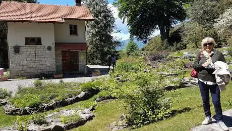 Photo de alpino