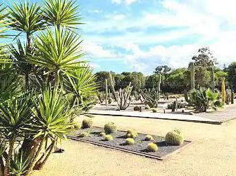 Parc Galea