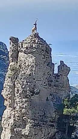Photo de Monument a la cabra salvatge