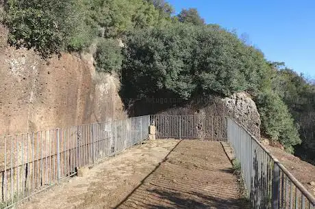 Tomba del Cervo