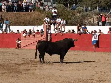 Photo de Praça de Touros de Rebolosa