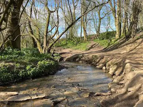 Photo de Nan Whins Wood