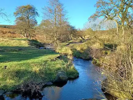 Photo de Longshaw Estate - National Trust