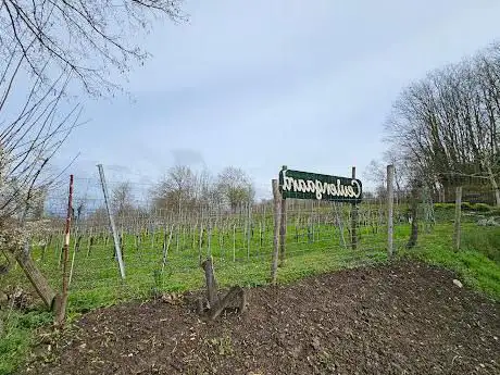 Le domain de Valère