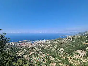 Viewpoint