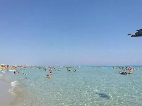 Photo de Pineta di Torre San Giovanni
