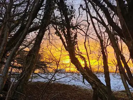 Cynon Trail