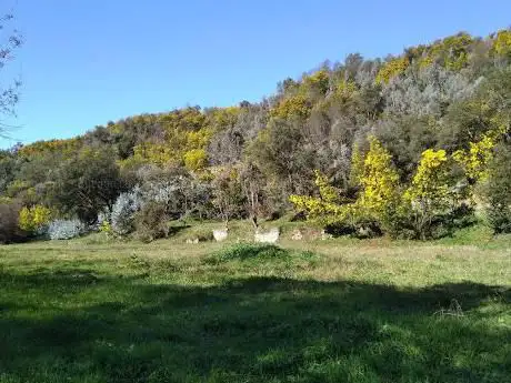 Chemin de l'écluse