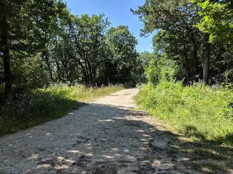 Croisement du Parc des Animaux