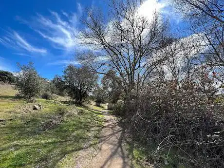 Photo de Ribera del Manzanares