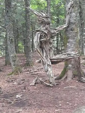 Photo de Prat Peyrot - Mont Aigoual