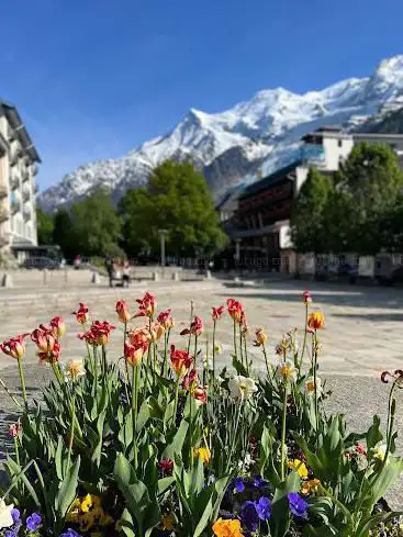 Photo de Av. Michel Croz