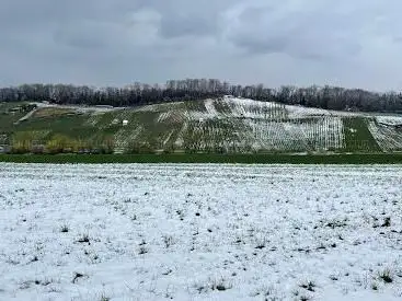 Burgruine Münchsberg
